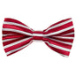 Boy's Design Bow Tie by Vittorio Farina (b3) for Independent Retail Stores by Dubal Brothers