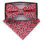Paisley Design Bow Tie & Pocket Square by Vittorio Farina (BH - D - 21156) for Independent Retail Stores by Dubal Brothers