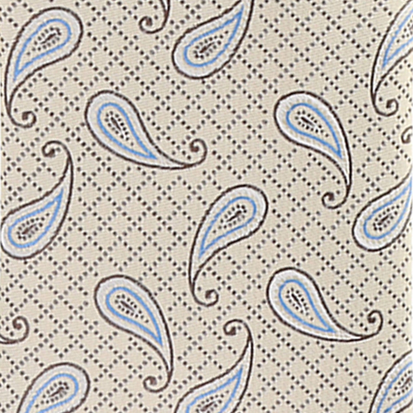 Paisley Design Necktie & Pocket Square by Vittorio Farina (NH-D-1145) for Independent Retail Stores by Dubal Brothers
