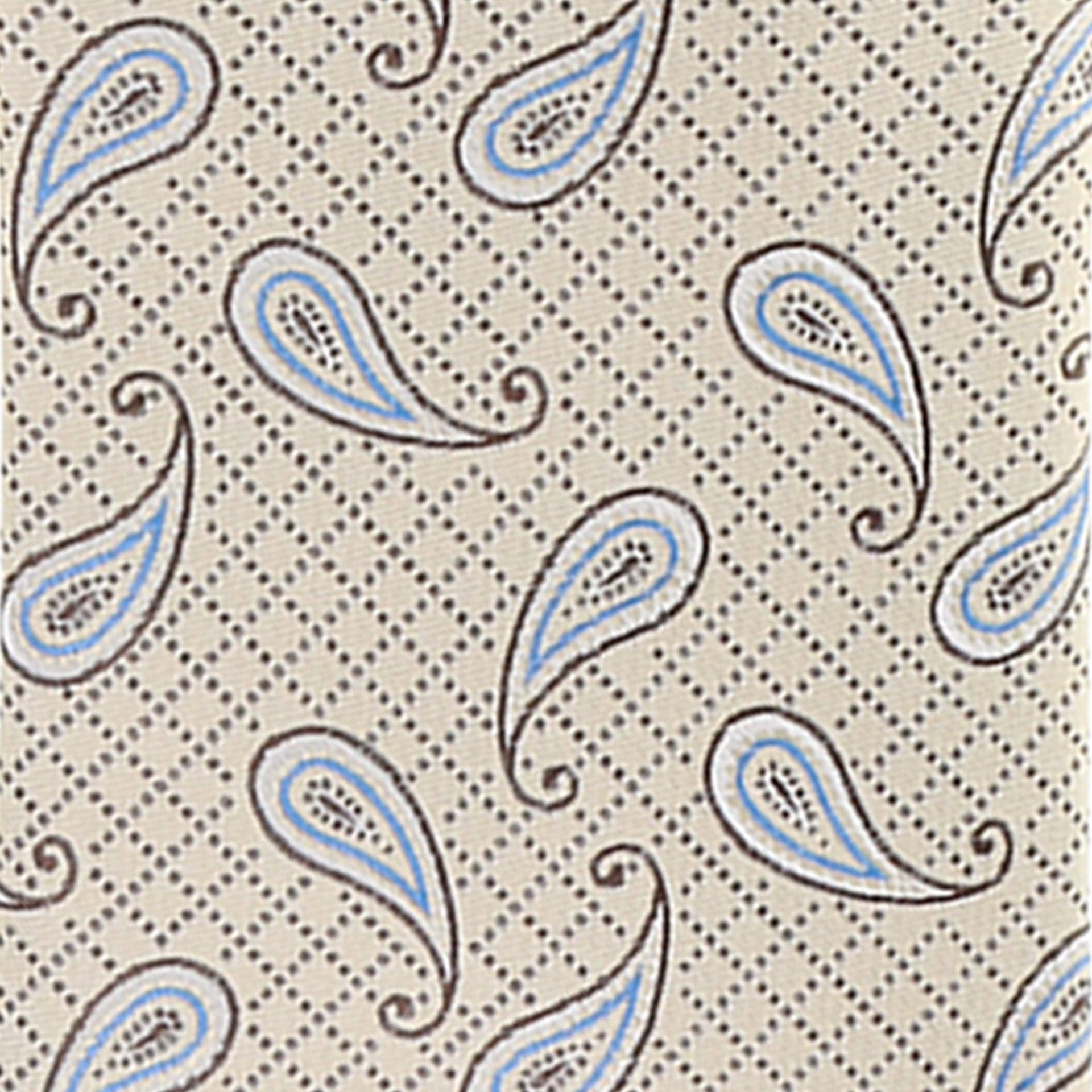 Paisley Design Necktie & Pocket Square by Vittorio Farina (NH-D-1145) for Independent Retail Stores by Dubal Brothers