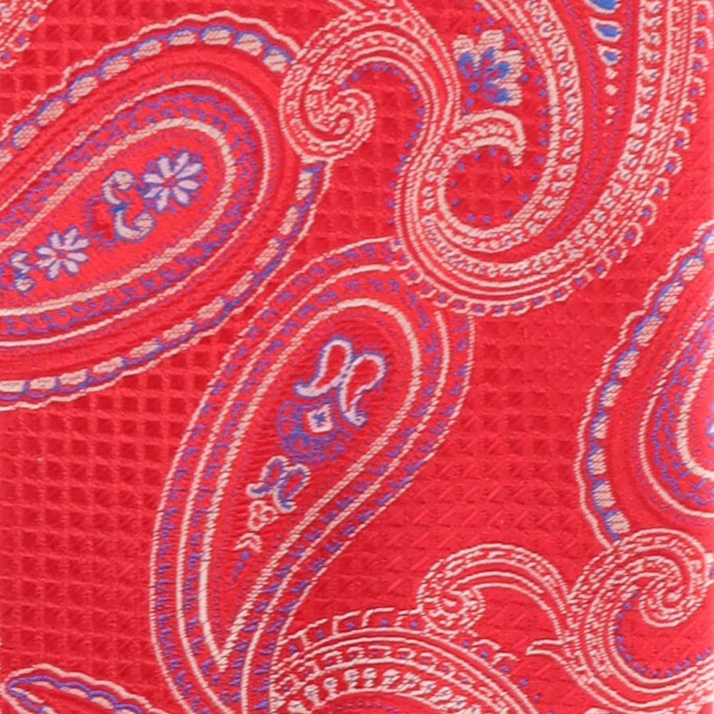 Paisley Design Necktie & Pocket Square by Vittorio Farina (NH-D-1172) for Independent Retail Stores by Dubal Brothers