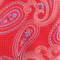 Paisley Design Necktie & Pocket Square by Vittorio Farina (NH-D-1172) for Independent Retail Stores by Dubal Brothers