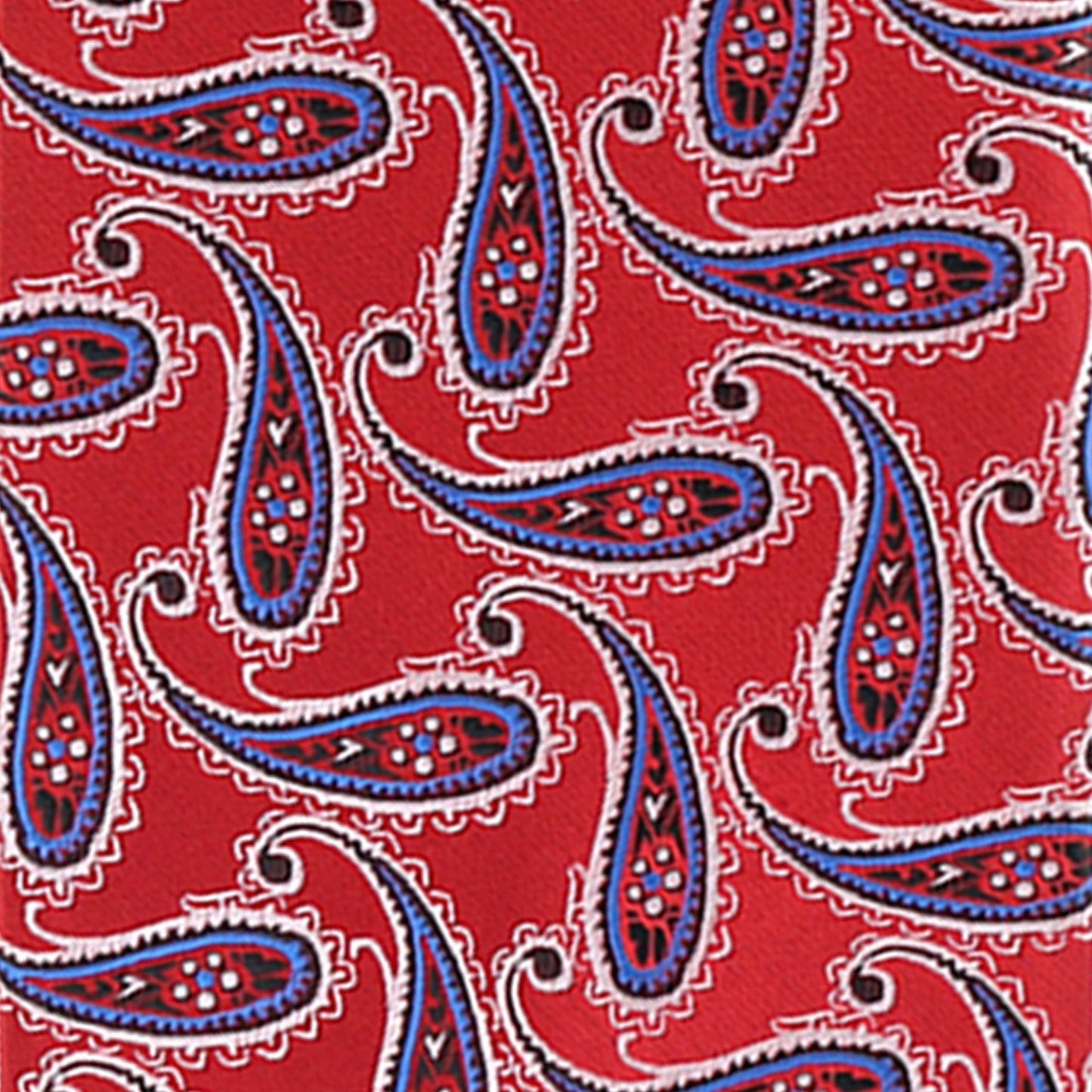 Paisley Design Necktie & Pocket Square by Vittorio Farina (NH-D-1172) for Independent Retail Stores by Dubal Brothers