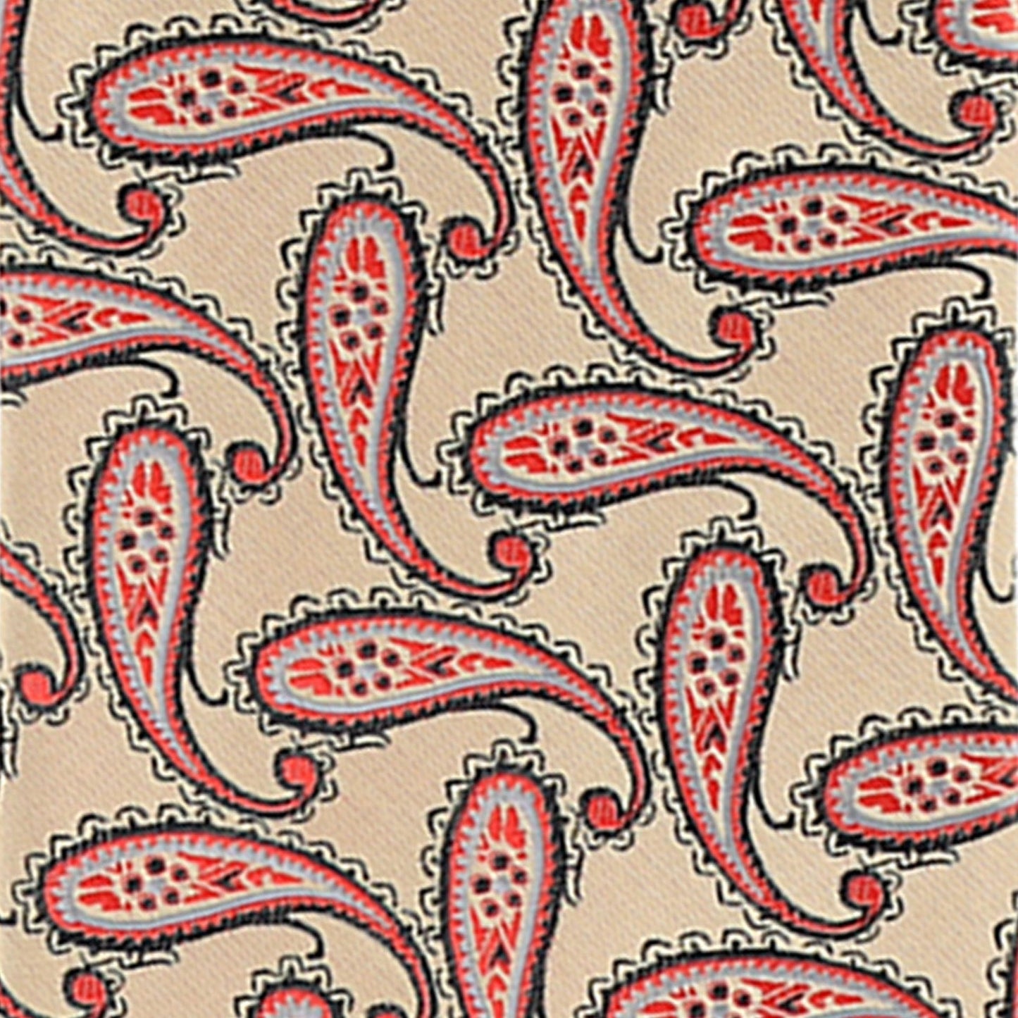 Paisley Design Necktie & Pocket Square by Vittorio Farina (NH-D-1172) for Independent Retail Stores by Dubal Brothers