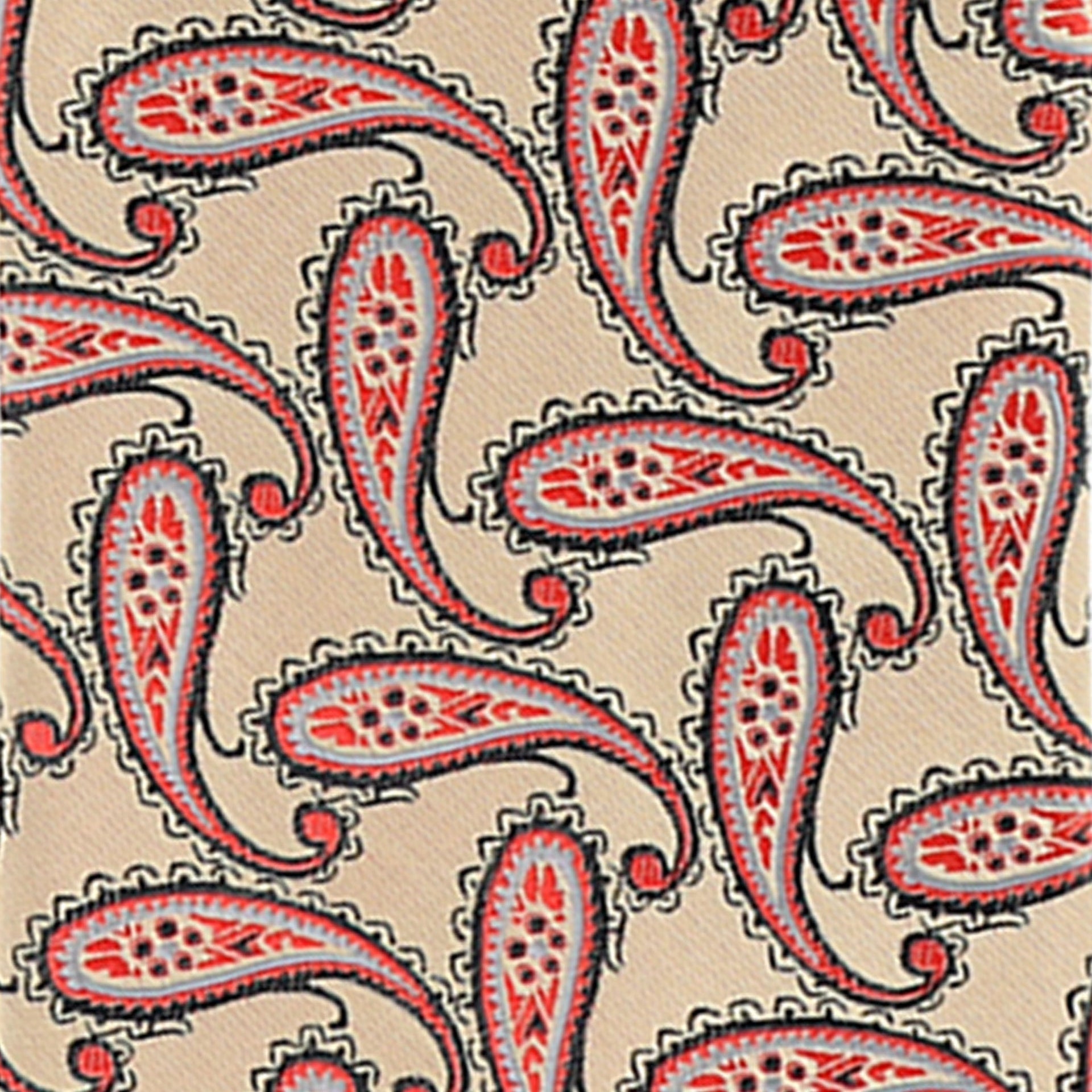 Paisley Design Necktie & Pocket Square by Vittorio Farina (NH-D-1172) for Independent Retail Stores by Dubal Brothers
