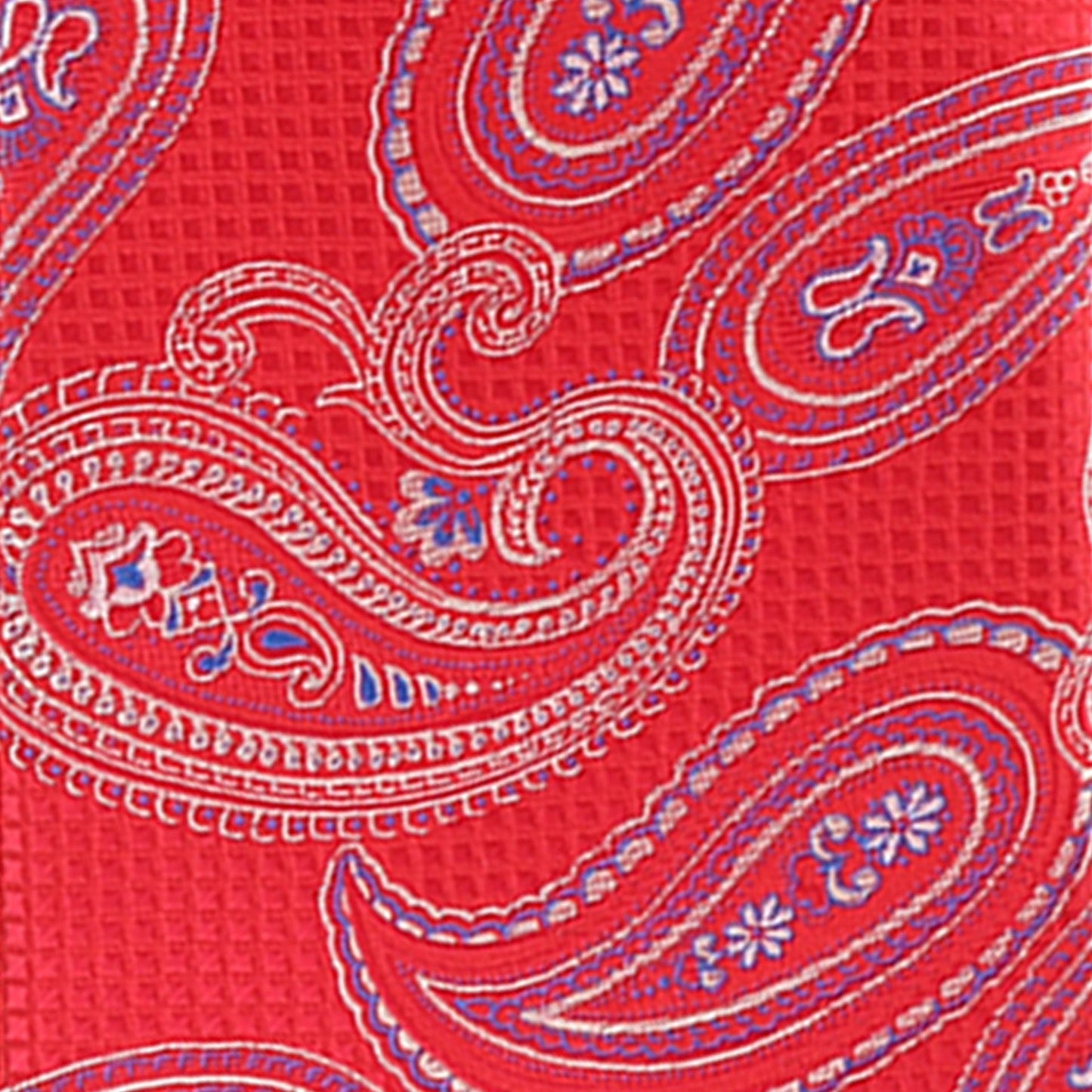 Paisley Design Necktie & Pocket Square by Vittorio Farina (NH-D-1172) for Independent Retail Stores by Dubal Brothers