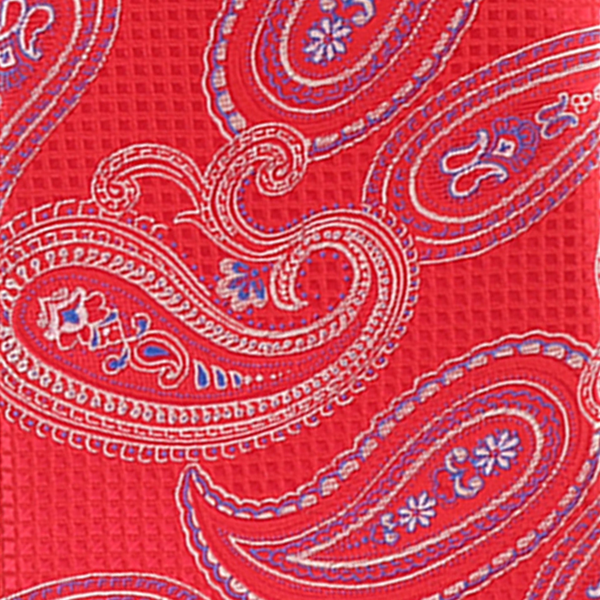 Paisley Design Necktie & Pocket Square by Vittorio Farina (NH-D-1172) for Independent Retail Stores by Dubal Brothers