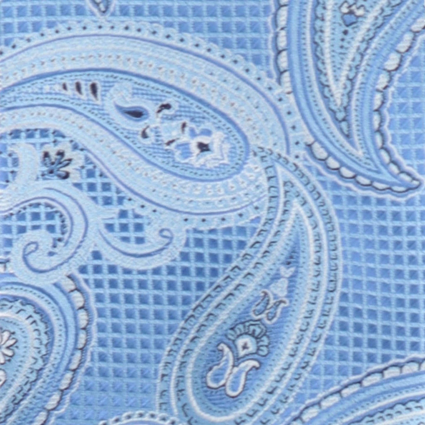 Paisley Design Necktie & Pocket Square by Vittorio Farina (NH-D-1172) for Independent Retail Stores by Dubal Brothers