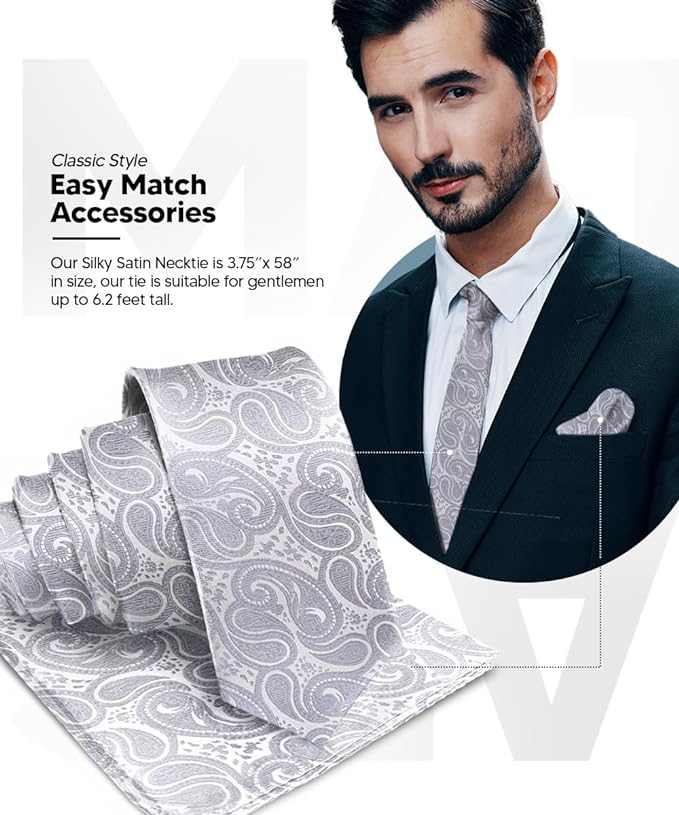 Paisley Necktie & Pocket Square by Vittorio Farina (NH - WP_SILVER) for Independent Retail Stores by Dubal Brothers