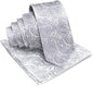 Paisley Necktie & Pocket Square by Vittorio Farina (NH - WP_SILVER) for Independent Retail Stores by Dubal Brothers