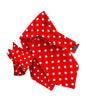 Polka Dot Ascot & Pocket Square by Vittorio Farina (ASCOTS - PD_RED_WHITE) for Independent Retail Stores by Dubal Brothers