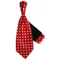 Polka Dot Cravat & Pocket Square by Vittorio Farina (CRAVATS_RED_WHITE) for Independent Retail Stores by Dubal Brothers
