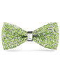 Rhinestone Bow Tie in a Box by Vittorio Farina (br - 004a) for Independent Retail Stores by Dubal Brothers