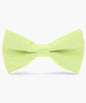 Solid Bow Tie in a Box by Vittorio Farina (basic - bow - tie - mint) for Independent Retail Stores by Dubal Brothers