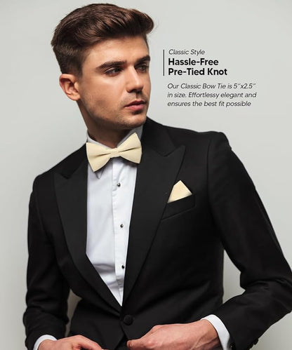 Solid Bow Tie & Pocket Square in a Box by Vittorio Farina (basic - bow - tie - hanky - beige) for Independent Retail Stores by Dubal Brothers