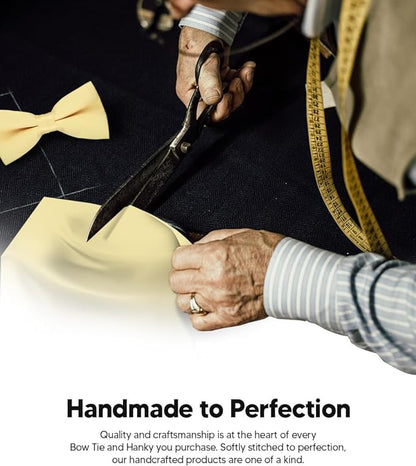 Solid Bow Tie & Pocket Square in a Box by Vittorio Farina (basic - bow - tie - hanky - maize) for Independent Retail Stores by Dubal Brothers